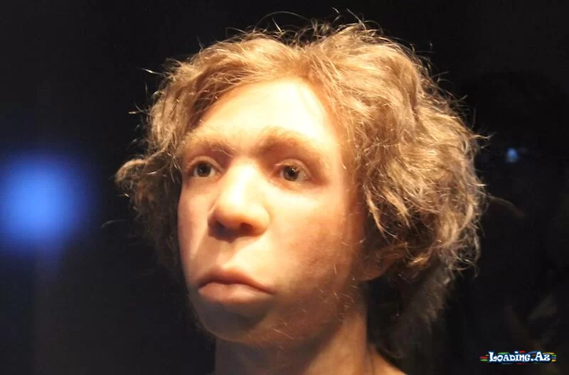 Niyə məhz Neandertal kişilər və Homo sapiens qadınlar? - LoaDinG.Az