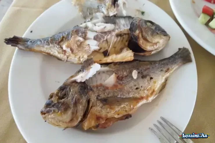 Balığı sobaya qoymazdan əvvəl qazlı içki ilə isladın - xırtıldayan qabığın sirri - LoaDinG.Az