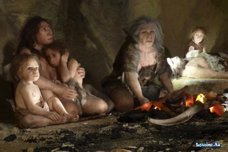 Neandertallar Buz dövründə necə sağ qaldılar? - LoaDinG.Az
