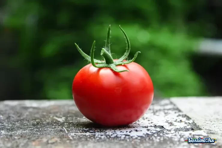 Niyə həkimlər hər gün təzə pomidor yeməyi tövsiyə edir? - LoaDinG.Az