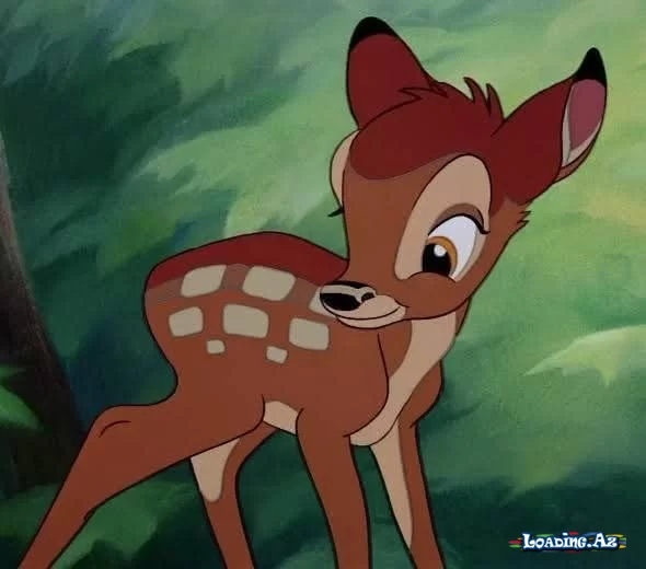 Bambi effekti - LoaDinG.Az