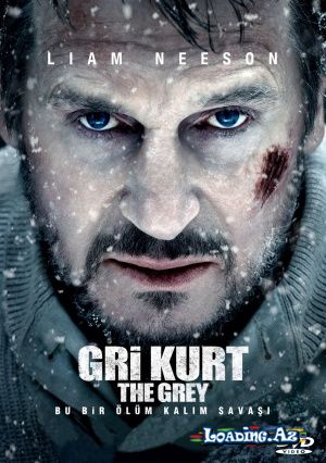 The Grey (Gri Kurt) - LoaDinG.Az
