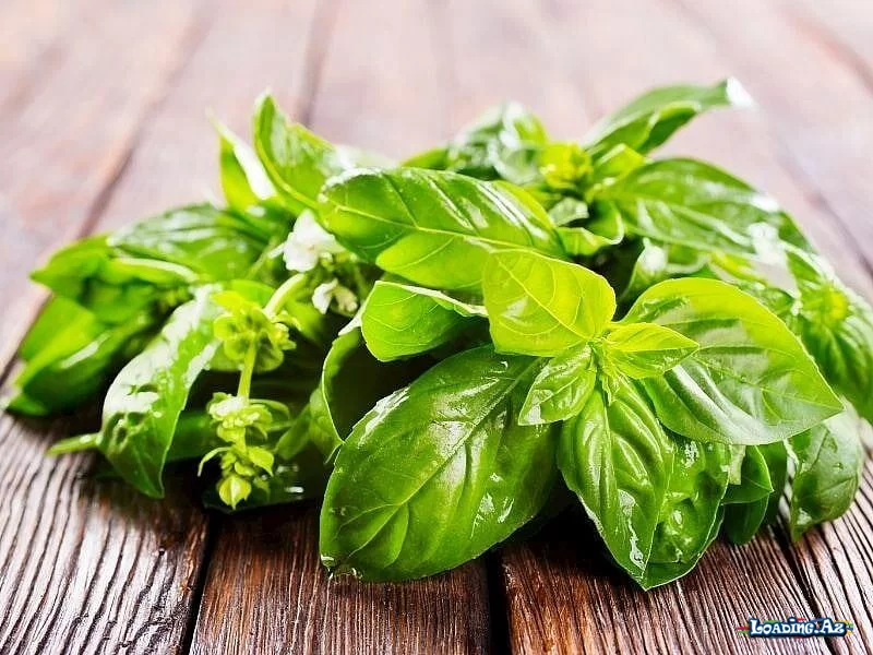 Reyhanın çürüməsinin qarşısını alan sadə üsul: Həftələrlə təravətli qalır - LoaDinG.Az