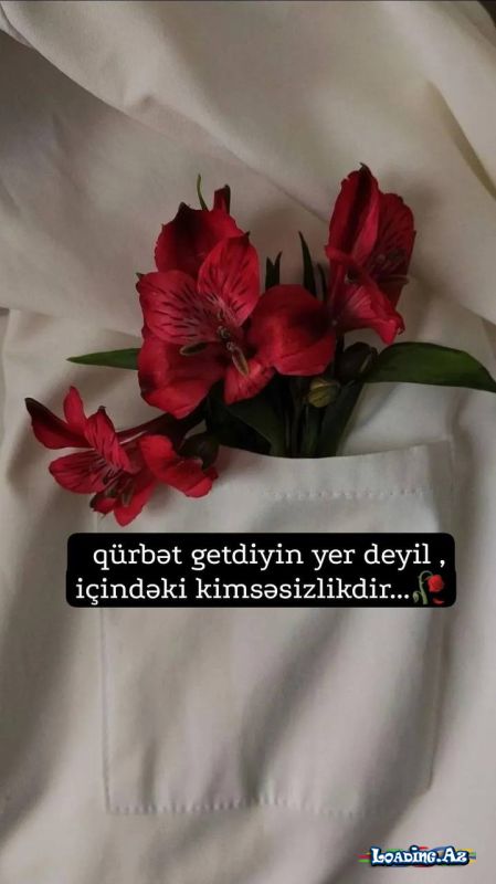 Həyat bir daş kimi alnıma dəydi - LoaDinG.Az