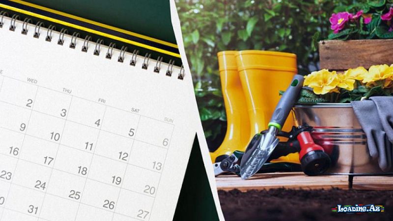 На посев в августе самые удобные дни объявлены - LoaDinG.Az