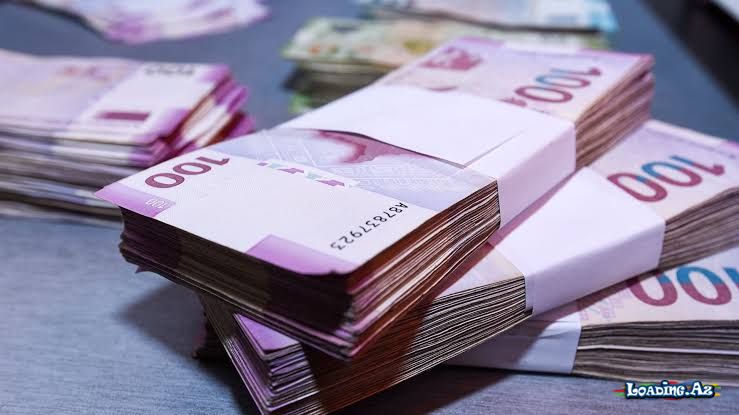 Büdcədən 192 milyon manata yaxın vəsait geri qaytarılıb - LoaDinG.Az