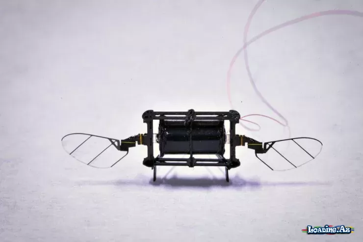 MIT-in balaca uçan robotu süni intellektlə 4,5 dəfə sürətləndi - LoaDinG.Az