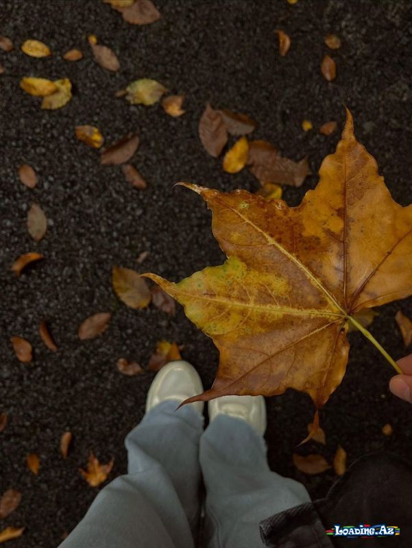 🍁🤎 PAYİZ 🤎🍁 - Take.Az