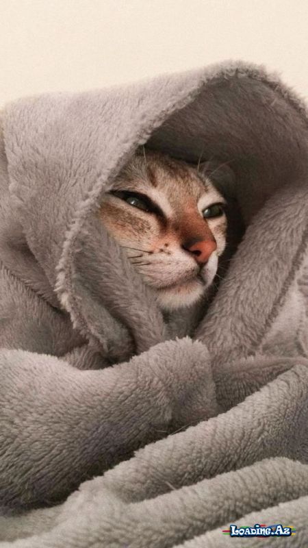 İt's my mood - Take.Az